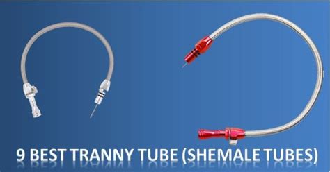 trany tube|Shemale Here